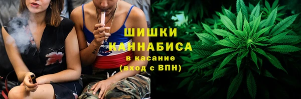 твердый Осинники