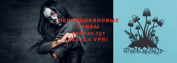 скорость Няндома