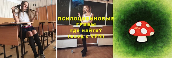 твердый Осинники