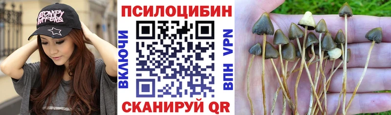 что такое наркотик  Адыгейск  Галлюциногенные грибы Magic Shrooms 
